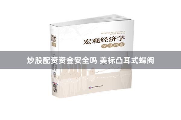 炒股配资资金安全吗 美标凸耳式蝶阀
