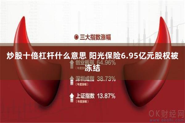 炒股十倍杠杆什么意思 阳光保险6.95亿元股权被冻结