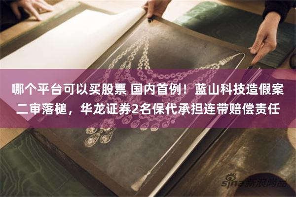 哪个平台可以买股票 国内首例！蓝山科技造假案二审落槌，华龙证券2名保代承担连带赔偿责任