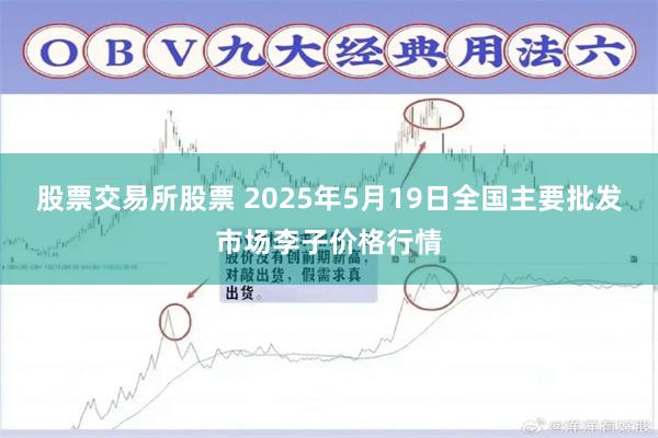 股票交易所股票 2025年5月19日全国主要批发市场李子价格行情