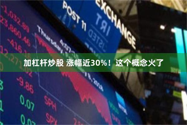加杠杆炒股 涨幅近30%！这个概念火了