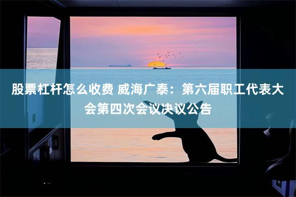 股票杠杆怎么收费 威海广泰：第六届职工代表大会第四次会议决议公告