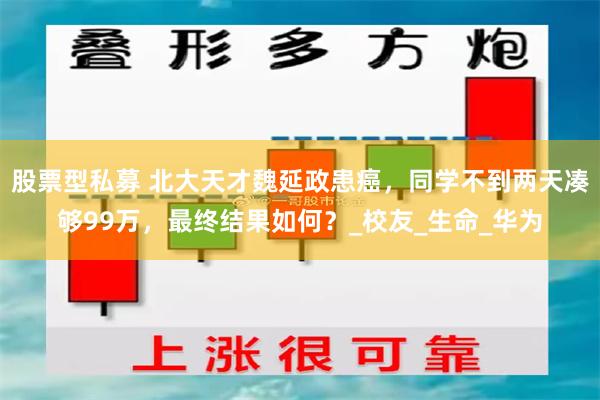 股票型私募 北大天才魏延政患癌，同学不到两天凑够99万，最终结果如何？_校友_生命_华为