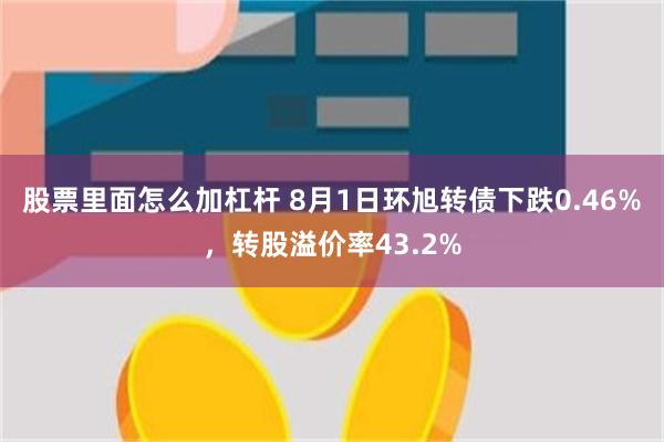 股票里面怎么加杠杆 8月1日环旭转债下跌0.46%，转股溢价率43.2%